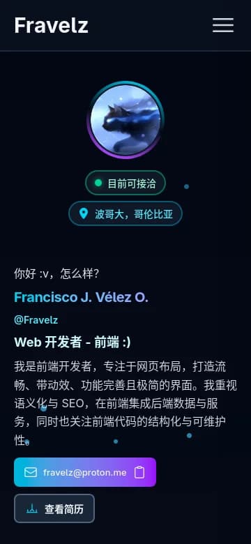Fravelz Portfolio (Next.js) — captura 4